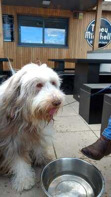 Toney Minchella @ Whitburn Bents