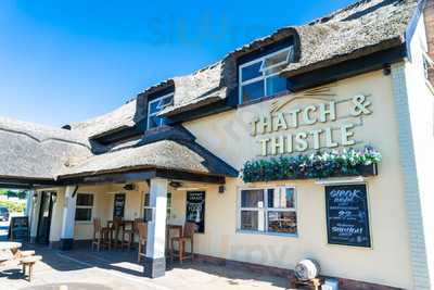 Thatch & Thistle