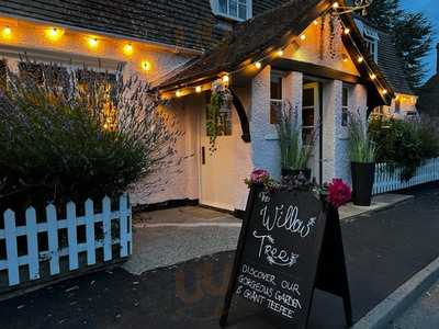 The Willow Tree