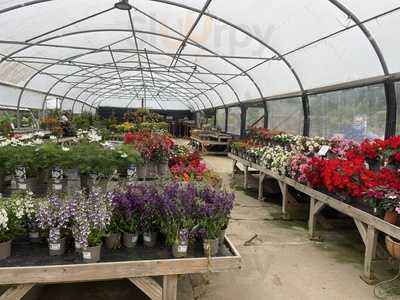 The Barn Garden Centre & Cafe