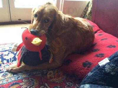 Diglis House Hotel’s Conservatory Restaurant