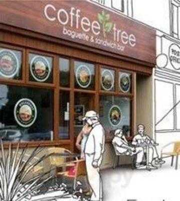 The Coffee Tree