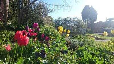 Garden Cafe At Restore