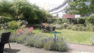 Garden Cafe At Restore