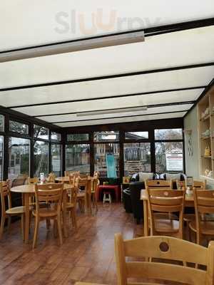 Lemon Tree Coffee Shop