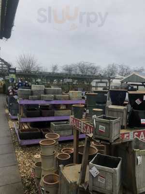 Lemon Tree Coffee Shop