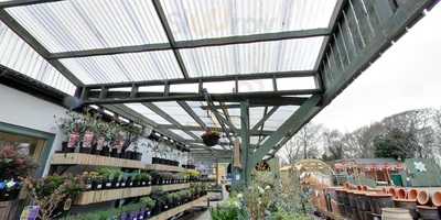 Lemon Tree Coffee Shop