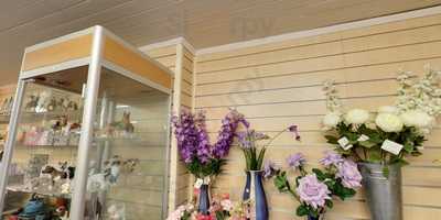 Lemon Tree Coffee Shop