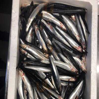 Sapori Del Sud Bedford