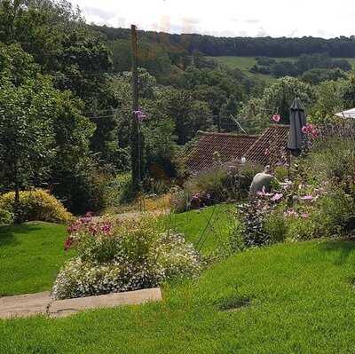 The Wheatsheaf - Combe Hay