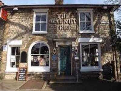 The Walnut Tree