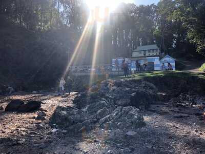 Fishcombe Cove Cafe/bar