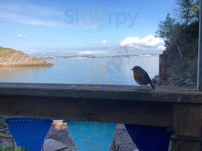 Fishcombe Cove Cafe/bar