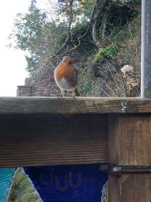 Fishcombe Cove Cafe/bar