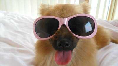 Darcy's Bar And Kitchen