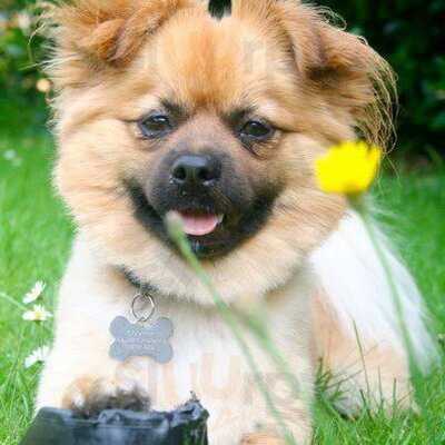 Darcy's Bar And Kitchen