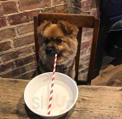 Darcy's Bar And Kitchen