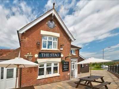 The Stag