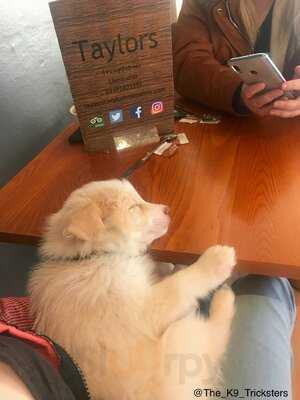 Taylor's Cafe Bar