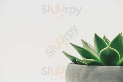 Wyevale Garden Centre