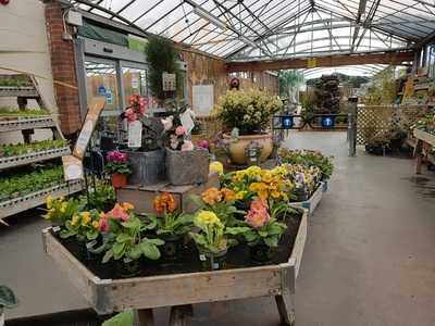 Wyevale Garden Centre