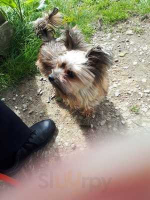 Animal Care Tea Room