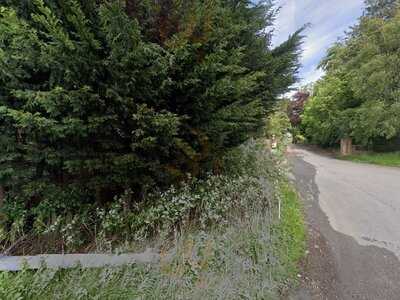 Animal Care Tea Room