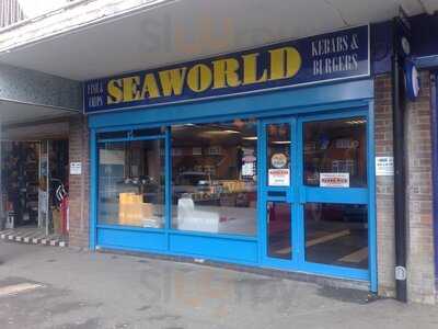 Seaworld Fish And Chip
