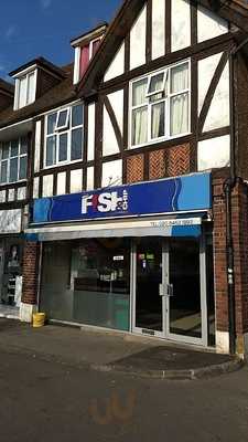 The Fish And Chip Company