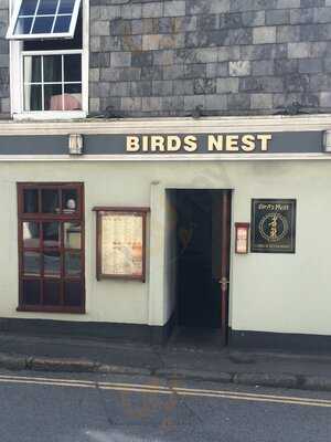 Bird's Nest Tavistock
