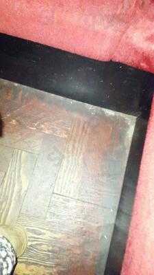 Bird's Nest Tavistock