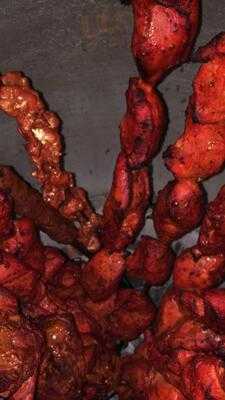 Ajanta Indian Cuisine