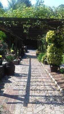 Rose Cottage Tea Rooms