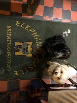 Elephant & Castle Pub