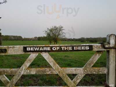 Elephant & Castle Pub