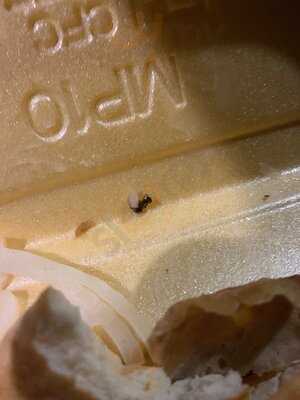 Superb Pizza & Kebab