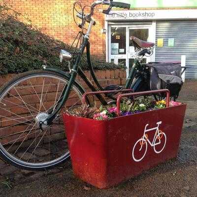 The Little Bookshop