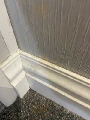 The Purple Badger Llanrhidian Gower