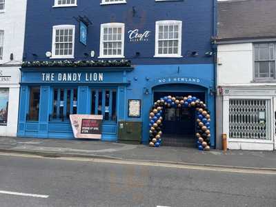 The Dandy Lion