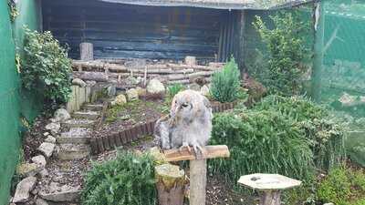 Bodafon Farm Restaurant