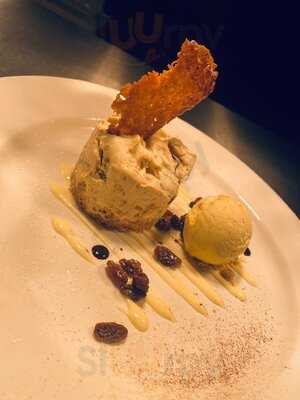 The Bridge At Stanford