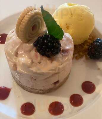 The Bridge At Stanford