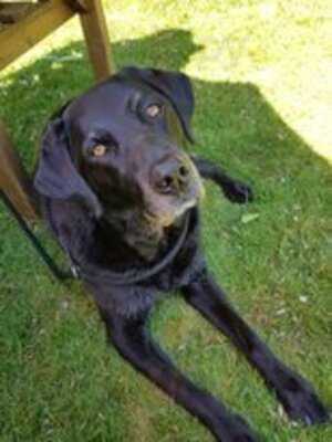 The Estate House Tearoom