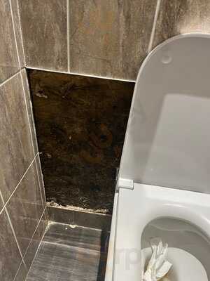 The Vine Bar And Grill, Worcester