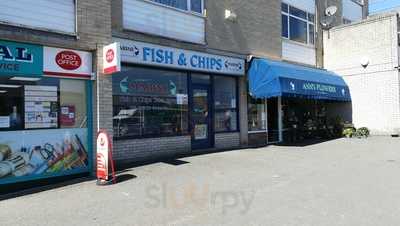 Marine Fish And Chips