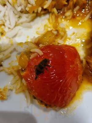 Noori's Indian Cuisine