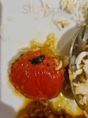 Noori's Indian Cuisine