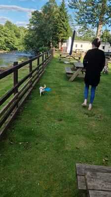 Riverview Bar & Grill