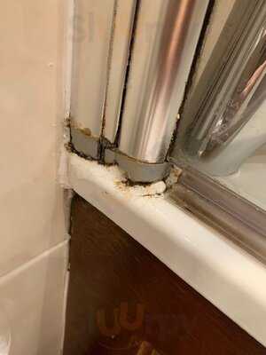 Macdonald Tickled Trout