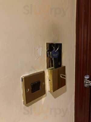 Macdonald Tickled Trout